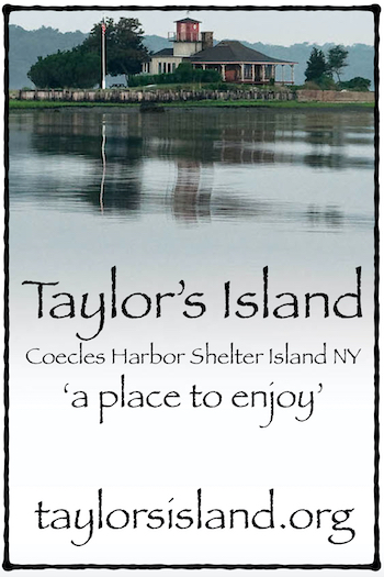 Taylor’s Island Foundation vertical business card.