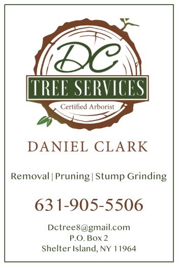 DC Tree Service business listing.